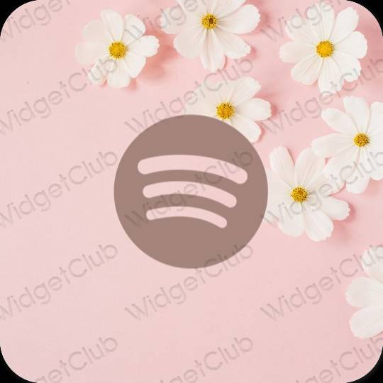Естетски браон Spotify иконе апликација