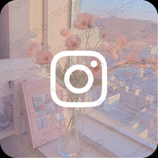 រូបតំណាងកម្មវិធី Instagram សោភ័ណភាព