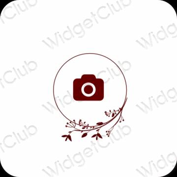 美学Camera 应用程序图标