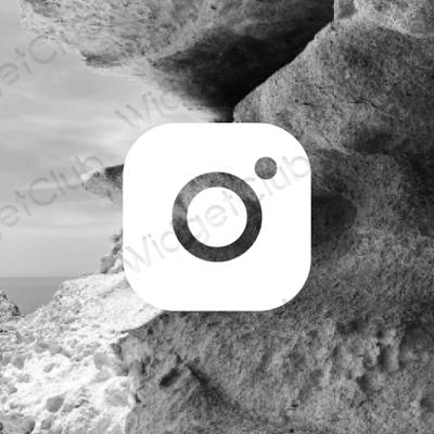 Aesthetic Camera app icons