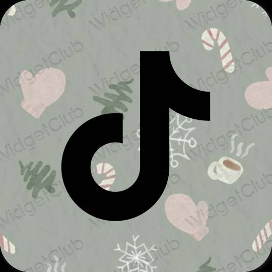 Aesthetic TikTok app icons