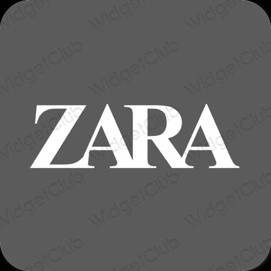 审美的 灰色的 ZARA 应用程序图标