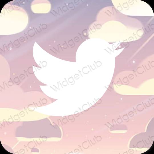 Icônes d'application Twitter esthétiques