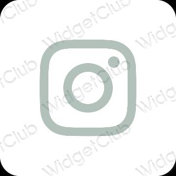 រូបតំណាងកម្មវិធី Instagram សោភ័ណភាព