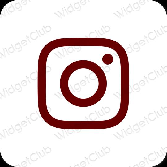 Icônes d'application Instagram esthétiques