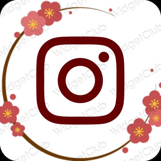 Ästhetische Instagram App-Symbole