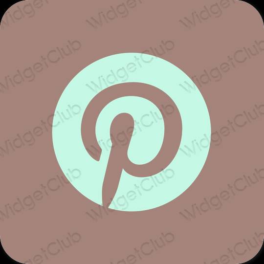 审美的 棕色的 Pinterest 应用程序图标
