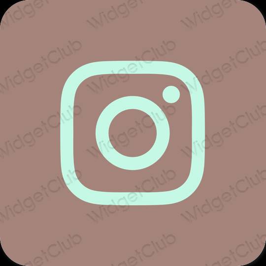Esthétique brun Instagram icônes d'application