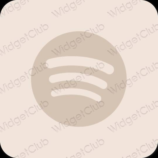 Icônes d'application Spotify esthétiques