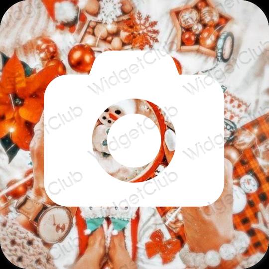 Aesthetic Camera app icons