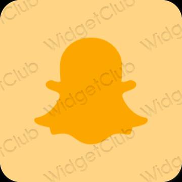 Estético Castanho snapchat ícones de aplicativos