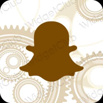 Aesthetic snapchat app icons