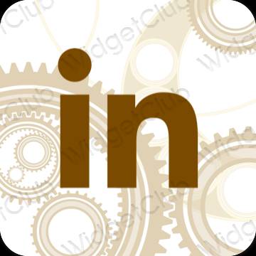 Icone delle app Linkedin estetiche