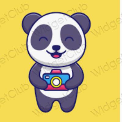 Aesthetic orange Camera app icons