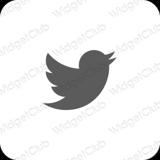 Aesthetic Twitter app icons