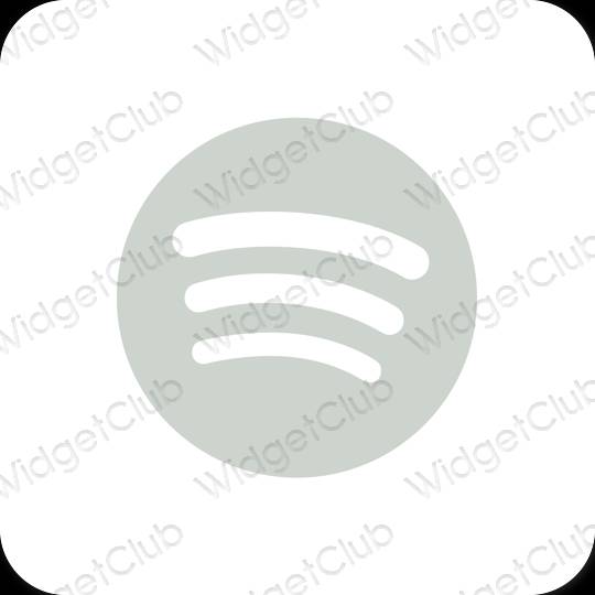 Ästhetische Spotify App-Symbole