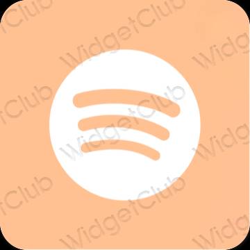 Esthetische Spotify app-pictogrammen