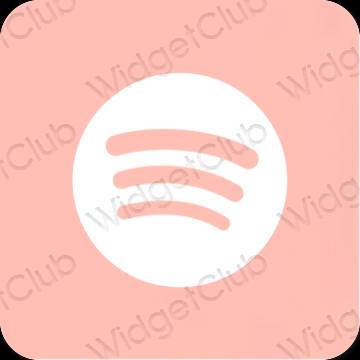 Esthetische Spotify app-pictogrammen