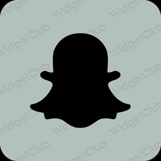 Ästhetisch grün snapchat App-Symbole
