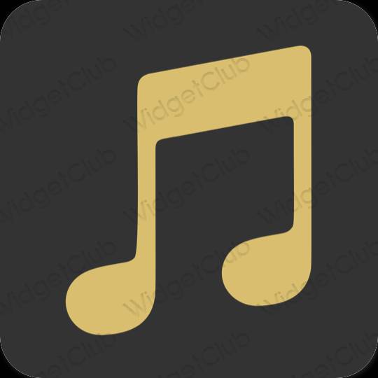 Ästhetische Music App-Symbole