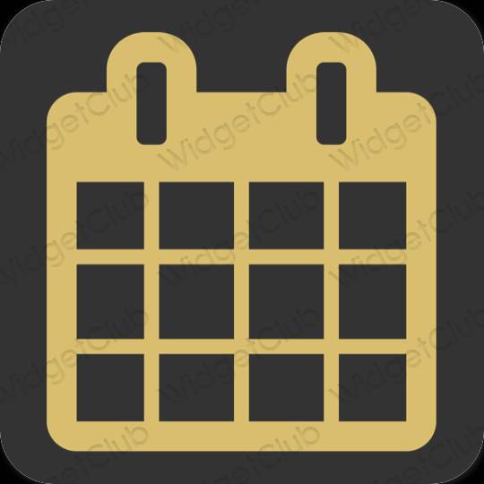 نمادهای برنامه زیباشناسی Calendar