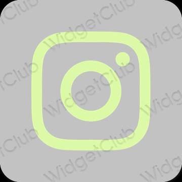 Æstetiske Instagram app-ikoner