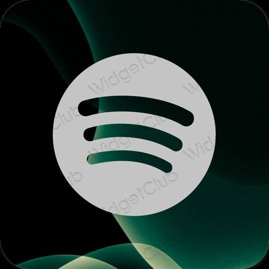 Esteetilised Spotify rakenduste ikoonid