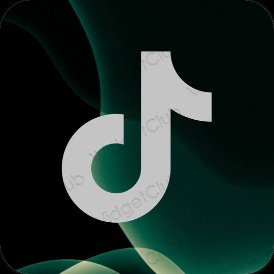 Icônes d'application TikTok esthétiques