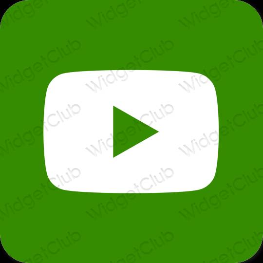 미적인 초록 Youtube 앱 아이콘