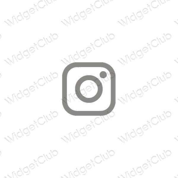 Biểu tượng ứng dụng Instagram thẩm mỹ