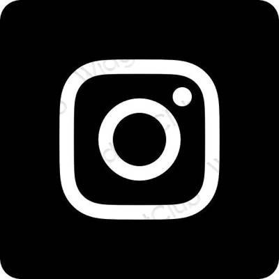 Гоо зүйн Instagram програмын дүрс тэмдэг