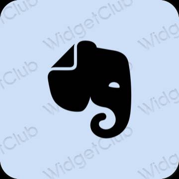 Aesthetic Evernote app icons
