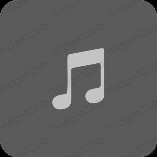 Estetický šedá Apple Music ikony aplikací