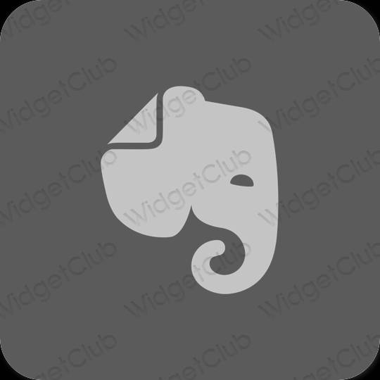 Естетичен сиво Evernote икони на приложения