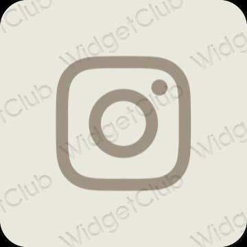 Æstetiske Instagram app-ikoner