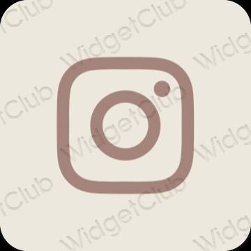 Æstetiske Instagram app-ikoner