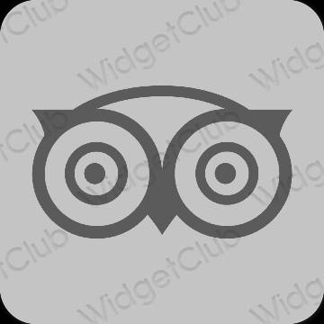 Ästhetisch grau duolingo App-Symbole