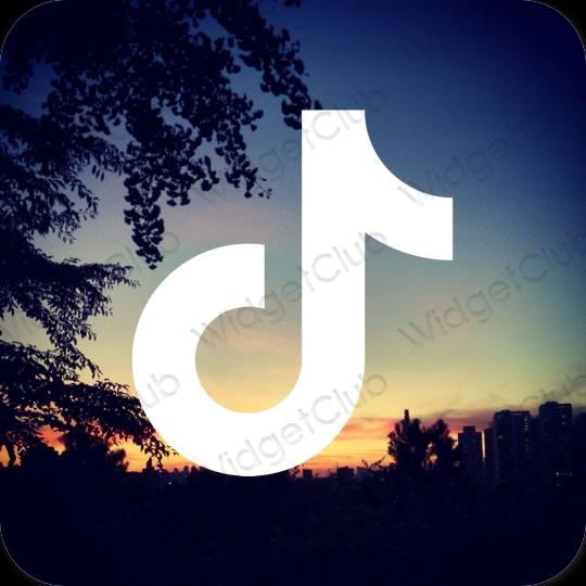 نمادهای برنامه زیباشناسی TikTok