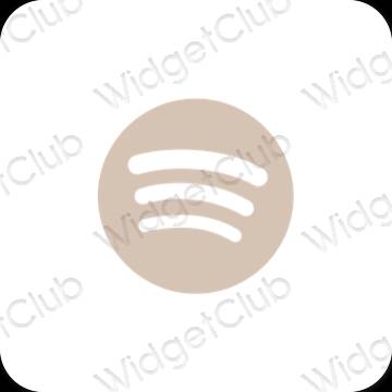 Esthetische Spotify app-pictogrammen