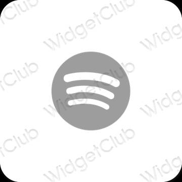 Esthetische Spotify app-pictogrammen