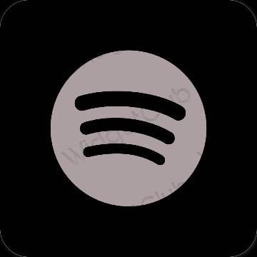 Esthetische Spotify app-pictogrammen