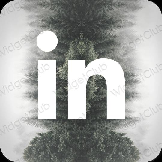 Estetske Linkedin ikone aplikacija