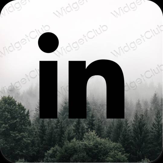 Estetico Nero Linkedin icone dell'app