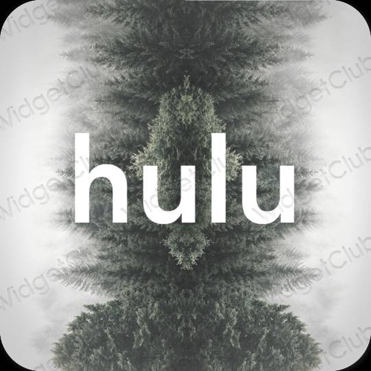Pictograme pentru aplicații hulu estetice