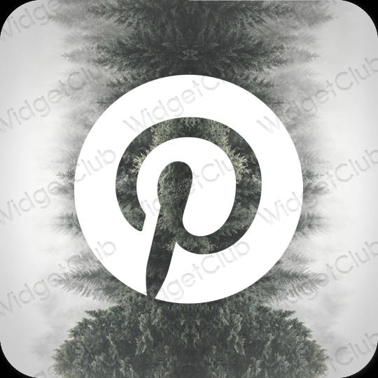 Aesthetic Pinterest app icons