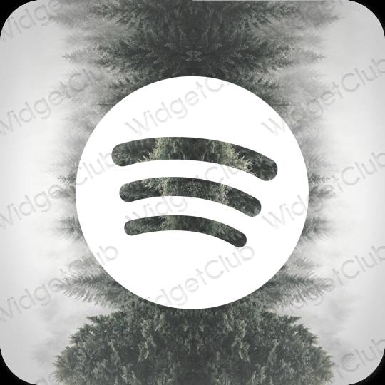 Esthetische Spotify app-pictogrammen