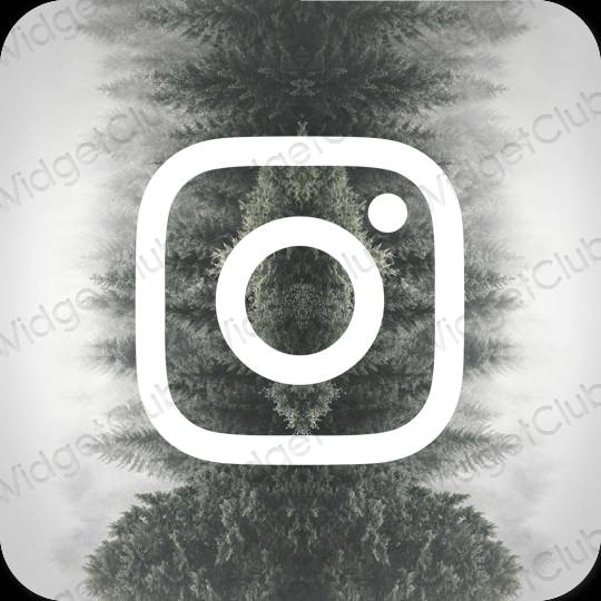 រូបតំណាងកម្មវិធី Instagram សោភ័ណភាព