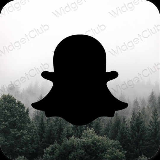 Snapchat vector Logos, Snahat Logo HD wallpaper | Pxfuel