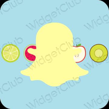 美学snapchat 应用程序图标