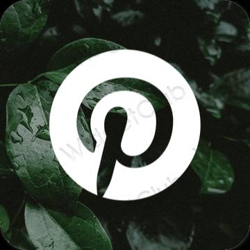 Æstetiske Pinterest app-ikoner